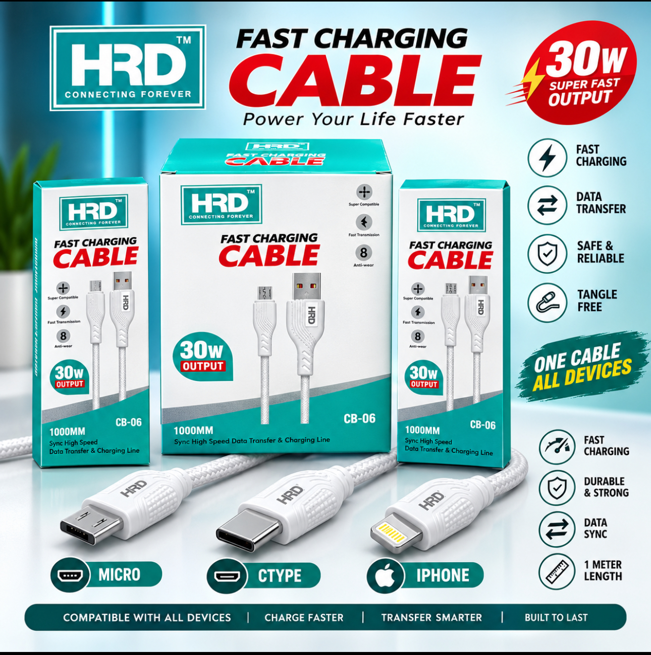 HRD CTYPE CABEL 1  YEAR WORANTY