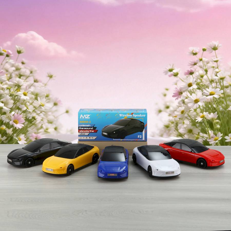 MZ F2 SERIES 2 CAR SPEAKER